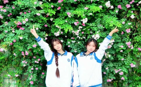 春暮夏始，蔷薇花也即将谢幕